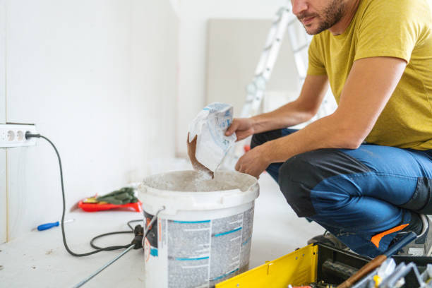 Best Water Damage & Mold Remediation  in Howard City, MI