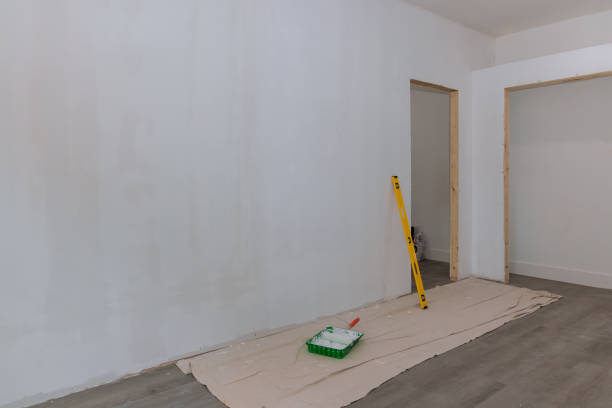 Best Dehumidification Services  in Howard City, MI