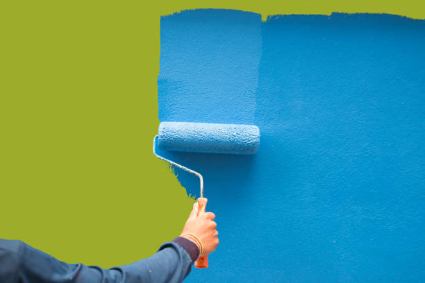 Mold Odor Removal Services in Howard City, MI